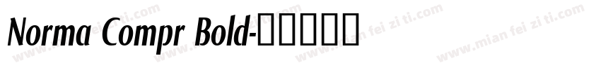 Norma Compr Bold字体转换